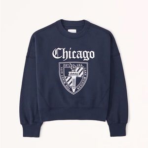 Abercrombie and Fitch Chicago Vintage Academia Sunday Crew
